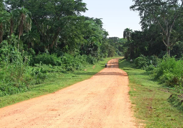 Estrada da selva em África — Fotografia de Stock