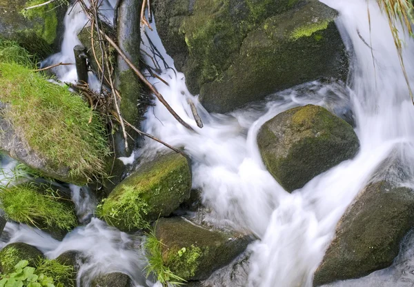 Triberger Wasserfälle — Stockfoto