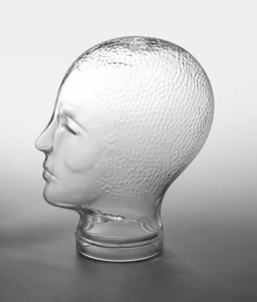 Profilo testa di vetro — Foto Stock