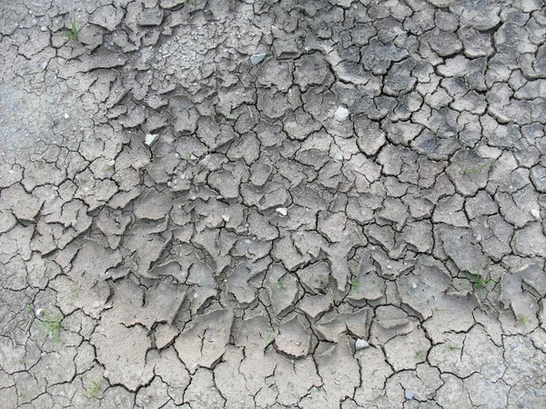 거의 건조 한 토양 — 스톡 사진