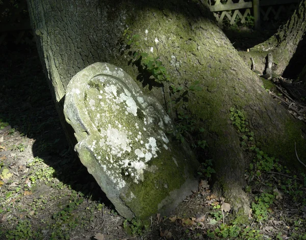 Flutlicht alter Grabstein mit Moos und Flechten — Stockfoto
