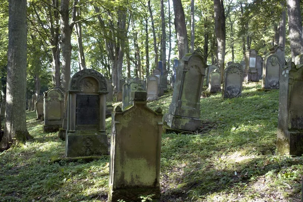 Old jewish graveyard — Stock Photo, Image