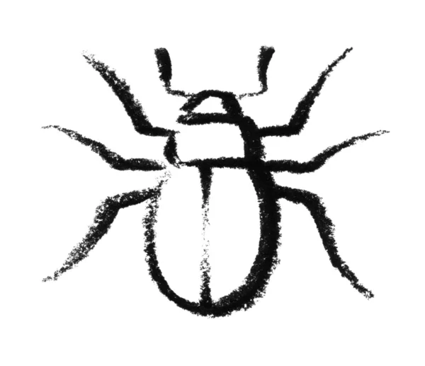 Sketched beetle — Stock Photo, Image