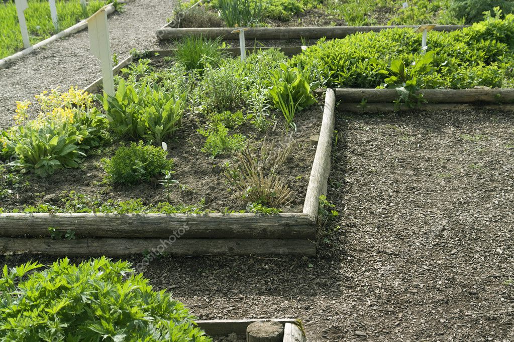 Detail Kräutergarten — Stockfoto © prill #7397107