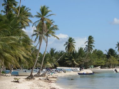 Dominican Republic beach scenery clipart