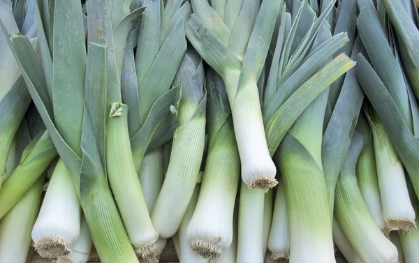 stock image Leek background