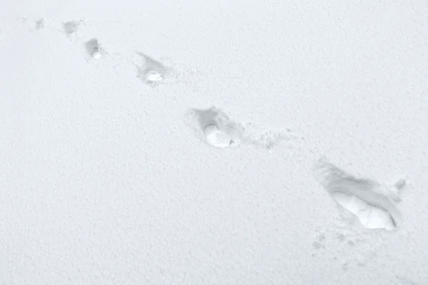 Footmarks in de sneeuw — Stockfoto