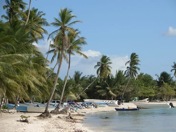 République dominicaine paysage de plage — Photo