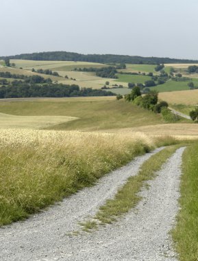 Rural panoramic scenery with farm track clipart