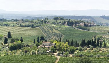 Chianti region of Tuscany clipart