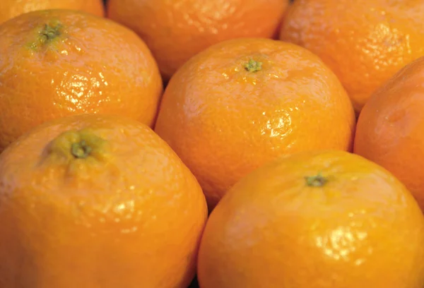 Mandarin apelsiner — Stockfoto