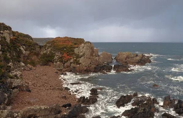 Скелястий берег в Шотландії — стокове фото
