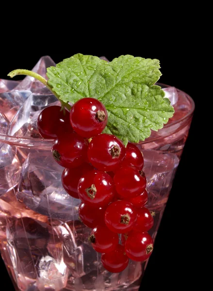 Cocktail ribes rosso — Foto Stock