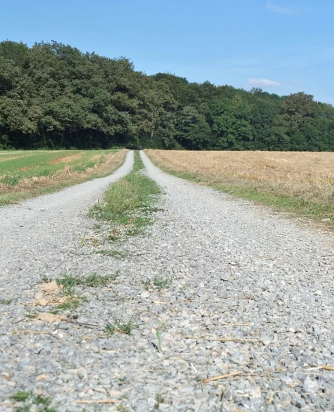 Stock image Field path