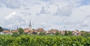 Mittelbergheim in Alsace clipart