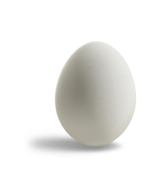 白蛋 — 图库照片