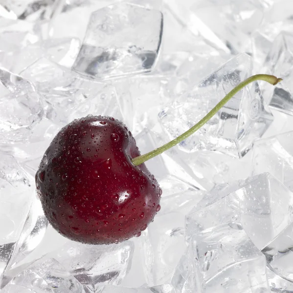 Red cherry on ice — Stock Photo, Image