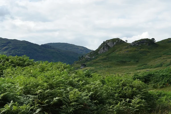 牧歌的なスコットランドの風景 — ストック写真