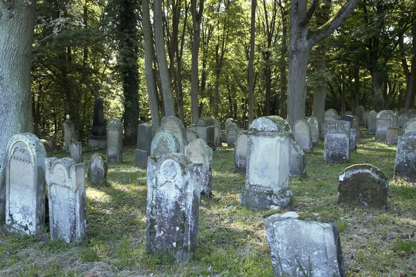 Součástí starého židovského hřbitova — Stock fotografie