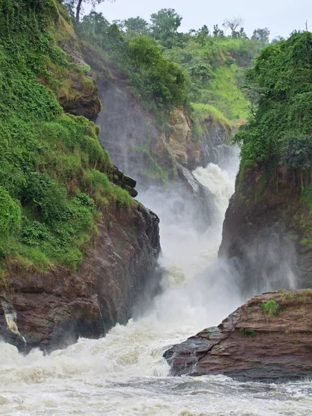 Wodospad Murchisona — Zdjęcie stockowe