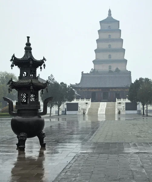 Pagoda gigante del ganso salvaje — Foto de Stock