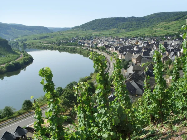 Cidade pequena no rio Moselle — Fotografia de Stock