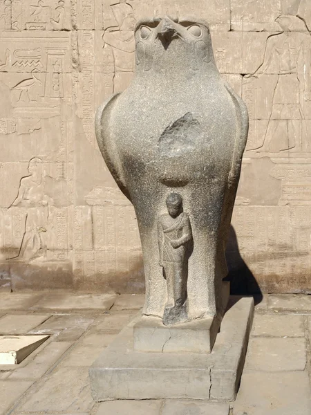 エジプトでホルスの彫刻 — ストック写真
