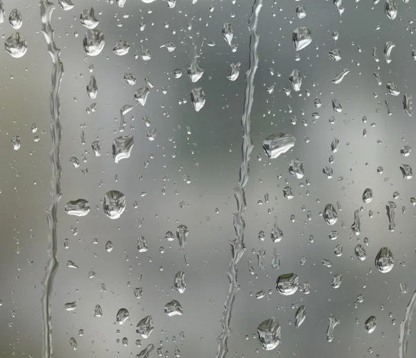 Rainy detail in blurry back — Stock Photo, Image