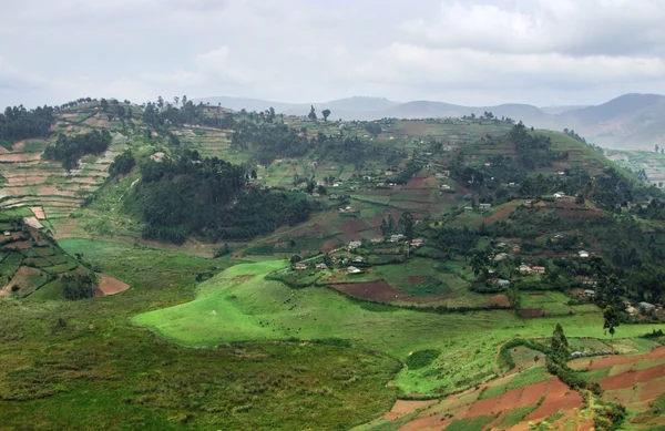 Virunga hegység légi kilátás — Stock Fotó
