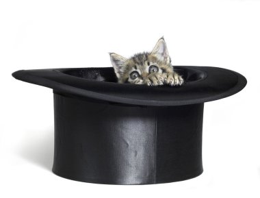 Kitten hiding in top hat clipart