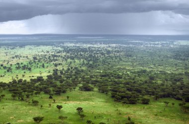 Queen Elizabeth National Park aerial view clipart