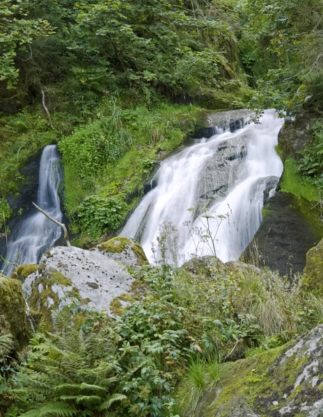 Тріберг водоспадів у зеленої рослинності — стокове фото