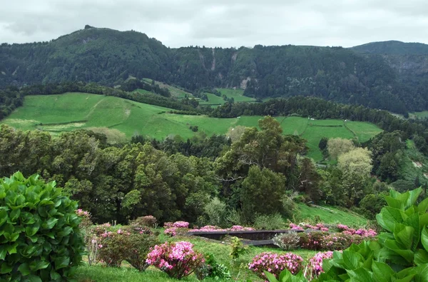Panoramiczny pejzaż na Azorach — Zdjęcie stockowe