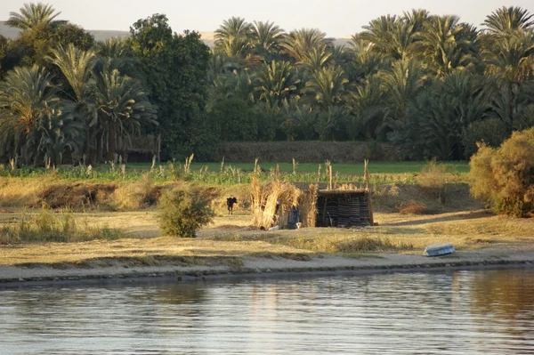 Rzeka Nil krajobrazy między Aswan i Luxor — Zdjęcie stockowe