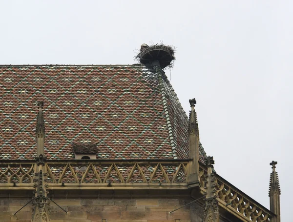Аистово гнездо на крыше — стоковое фото