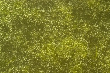 Green bubbly slime detail clipart