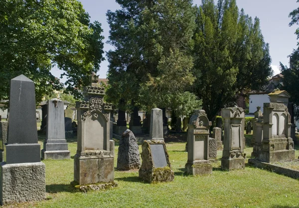 Židovský hřbitov ve slunném prostředí — Stock fotografie
