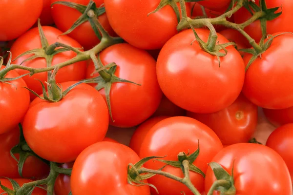 Tam kare domates arka plan — Stok fotoğraf