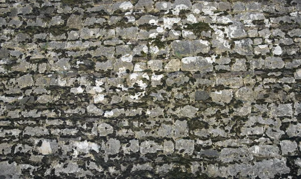 Viejo muro de piedra cubierto —  Fotos de Stock