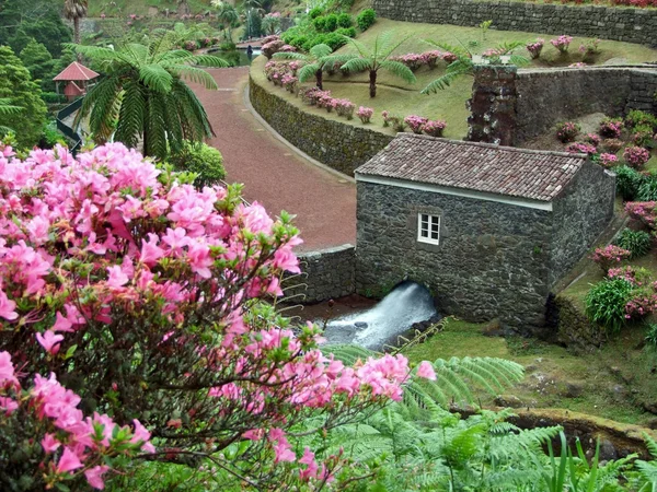 Ειδυλλιακό πάρκο στο νησί της Σάο Μιγκέλ — Φωτογραφία Αρχείου