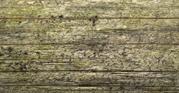 Väderbitna trä detalj — Stockfoto