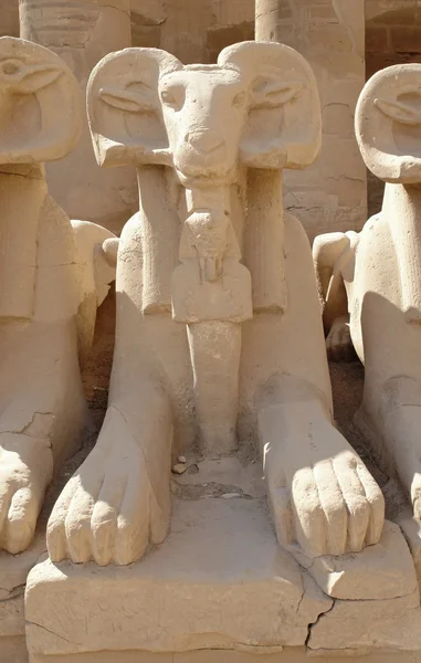 Amun-Re karakolda heykeller — Stok fotoğraf