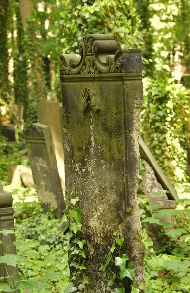 Antigo cemitério em Berlim — Fotografia de Stock
