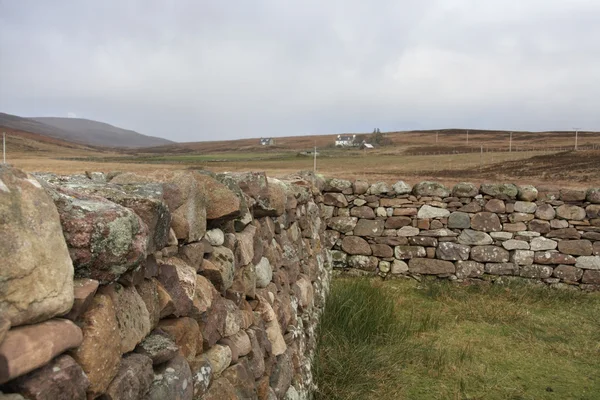 시골 분위기에서 스코틀랜드 돌 담 — 스톡 사진