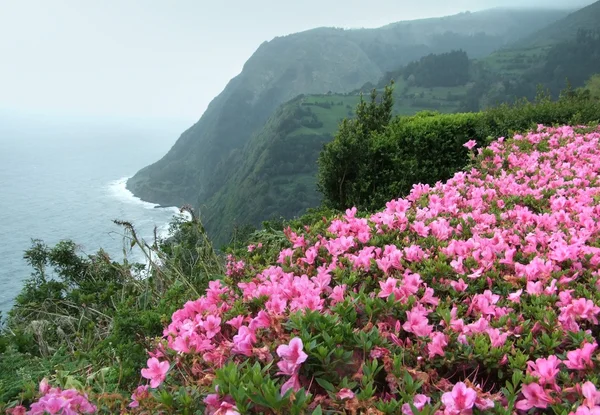 Paisajes costeros brumosos en las Azores —  Fotos de Stock