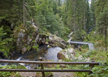 Around Triberg Waterfalls at summer time clipart