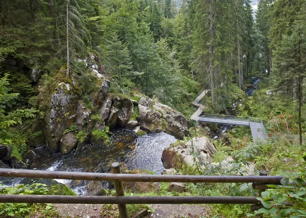 Em torno de Triberg Cachoeiras na hora de verão — Fotografia de Stock