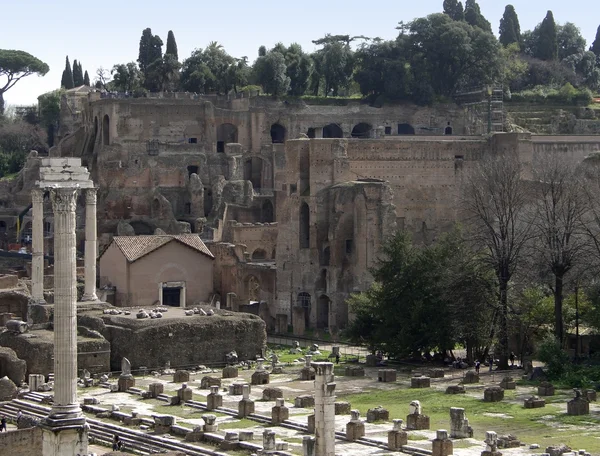 Detail of the Forum Romanum — Stock Photo, Image