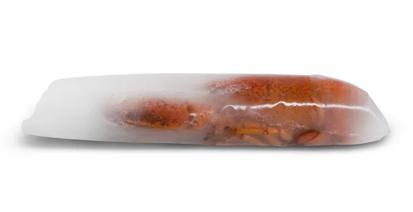 Bevroren hummer — Stockfoto