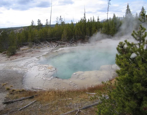 Hot spring in the Yellowstone National Park — Stock Photo, Image